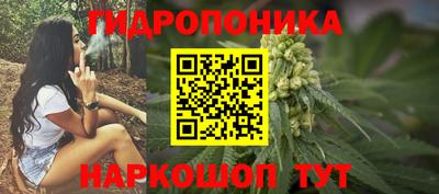 jwh Ирбит