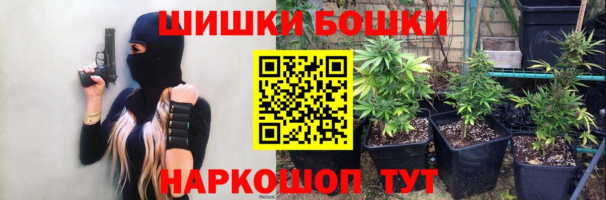 Каннабис ГИДРОПОН  Конопля OG Kush  Шишки марихуана Amnesia  Киров  МАРИХУАНА гибрид  Вход с VPN 